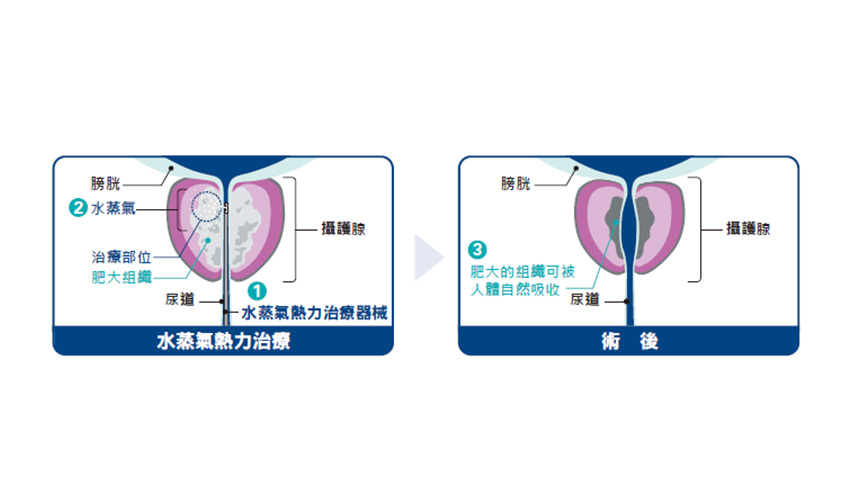 一張含有 文字, 標誌, 螢幕擷取畫面, 字型 的圖片自動產生的描述